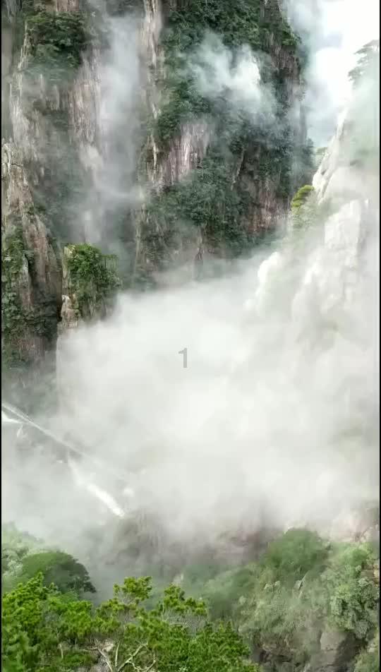 全民烧脑3去广告版